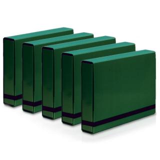 Teczka A4 Vaupe BOX na Dokumenty 50mm z Gumką 5 Szt Zielona