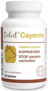 Dolvit Cayenne dla psa Suplement diety 90 tab.
