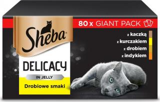 Sheba Delicacy in Jelly Kolekcja drobiowych smaków Karma w galaretce dla kota 80x85g