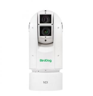 Kamera PTZ BIRDDOG Eyes A300 1080p Full NDI PTZ Camera (White)