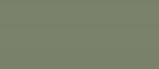 Tubądzin Płytka gresowa Cielo e Terra Verde MAT 274,8x119,8