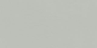 Tubądzin Płytka gresowa Industrio Grey 119,8x59,8