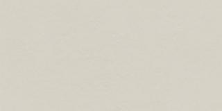 Tubądzin Płytka gresowa Industrio Light Grey LAP 119,8x59,8