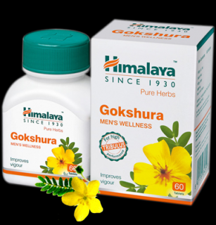 Gokshura potencja Himalaya 60 tabletek