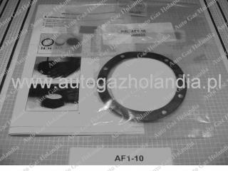 Filtr IMPCO AF1-10 IMPCO AF1-10