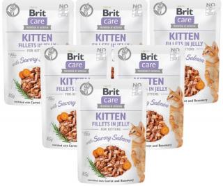 Brit Care Kot Kitten Salmon Mokra karma z łososiem 12x85g PAKIET