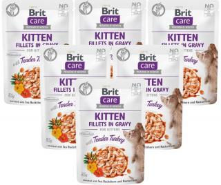 Brit Care Kot Kitten Turkey Mokra karma z indykiem 12x85g PAKIET