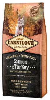 Carnilove Pies Salmon  Turkey Large Puppy Sucha Karma z łososiem i indykiem 2x12kg DWU-PAK