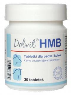 Dolvit HMB suplement diety dla Psa i Kota 90 tab.