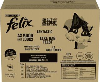 Felix Kot Fantastix Wybór smaków Mokra Karma (galaretka) 120x85g