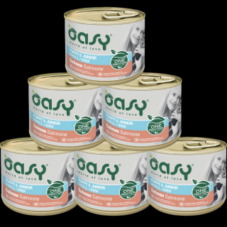 Oasy One Protein Puppy Mini Salmon Mokra Karma z łososiem dla szczeniaka 6x200g PAKIET