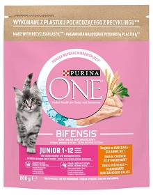 Purina ONE Kot Junior Sucha Karma z kurczakiem 800g