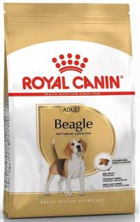 Royal Canin Pies Beagle Adult Sucha Karma 12kg