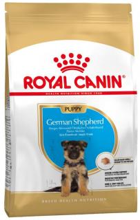 Royal Canin Pies German Shepherd Puppy Sucha Karma 12kg WYPRZEDAŻ
