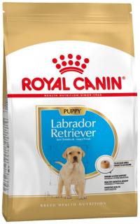 Royal Canin Pies Labrador Retriever Puppy Sucha Karma 12kg