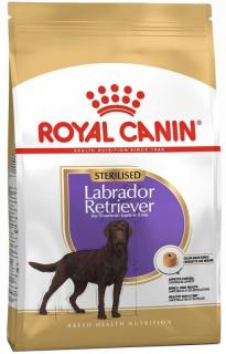 Royal Canin Pies Labrador Retriever Sterilised Sucha Karma 12kg
