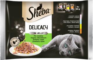 Sheba Kot Delicacy in Jelly Mix smaków Mokra karma w galaretce 4x85g