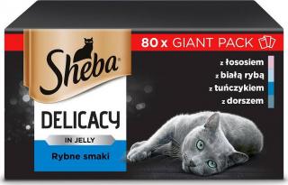 Sheba Kot Delicacy in Jelly Rybne Smaki Mokra karma w galaretce 80x85g