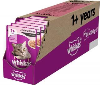 Whiskas Kot Adult Mokra Karma z łososiem (sos) 24x100g