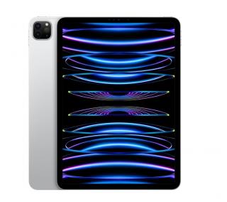 iPad Pro 11 cala Wi-Fi 256 GB Srebrny