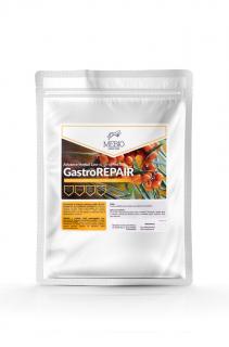 MEBIO GastroRepair - herbata na wrzody - 1 kg