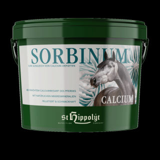 ST. HIPPOLYT Calcium Sorbinum - wapno - 10 kg