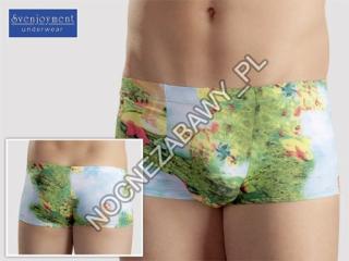 Men's Boxer Briefs PinUp M