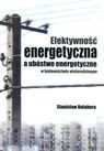 Efektywność energetyczna a ubóstwo energetyczne w bud wielorodz