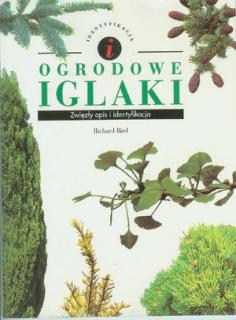 Ogrodowe iglaki