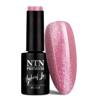 NTN Premium Lakier Hybrydowy 5 ml - Day Dreaming Collection Nr 55