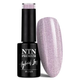 NTN Premium Lakier Hybrydowy 5 ml - Day Dreaming Collection Nr 56