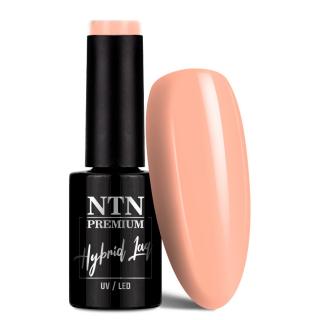 NTN Premium Lakier Hybrydowy 5 ml - Day Dreaming Collection Nr 59