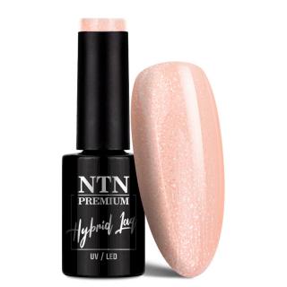 NTN Premium Lakier Hybrydowy 5 ml - Day Dreaming Collection Nr 63