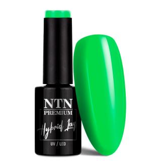 NTN Premium Lakier Hybrydowy 5 ml - Delight Sorbet Collection Nr 146