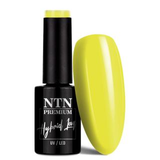 NTN Premium Lakier Hybrydowy 5 ml - Delight Sorbet Collection Nr 147