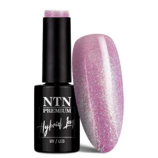 NTN Premium Lakier Hybrydowy 5 ml - Delight Sorbet Collection Nr 149