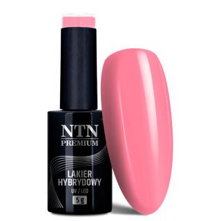 NTN Premium Lakier Hybrydowy 5 ml - Dessert Collection Nr 92