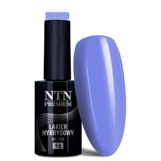 NTN Premium Lakier Hybrydowy 5 ml - Dessert Collection Nr 96