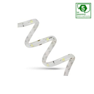 Taśma LED 12V IP20 24W 150smd 5050 zimna biała 10mm (5m) Spectrum