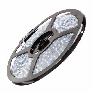 Taśma LED 12V w silikonie IP63 48W 600smd 3528 zimna biała 8mm FLASH [550 lm/m] (5m) GTV