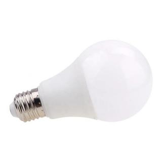 Żarówka LED bańka E27 20W b.ciepła (1800lm) DIRECT Lighting