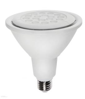 Żarówka LED PAR38 16W E27 barwa zimna Spectrum