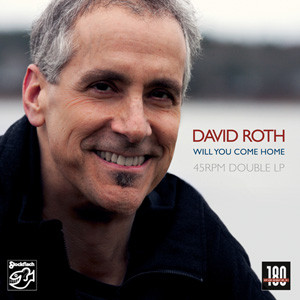 David Roth – Will You come Home LP record (2LP, 180g)