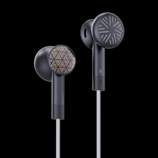 FiiO FF3S (FF-3S) In-Ear Headphones with Dynamic Beryllium Driver