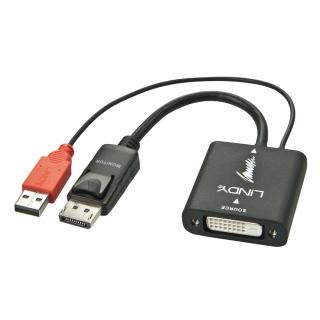 Lindy 38145 DVI-D to DisplayPort Converter Adapter