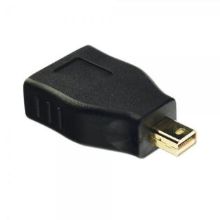 Lindy 41077 Mini DisplayPort to DisplayPort Adapter