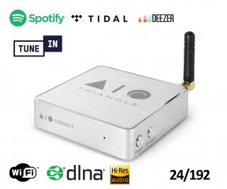 Triangle AIO C (AIOC) Connect Wireless audio streamier DLNA, Wi-Fi, multiroom