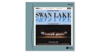 Vinyl Record - Tchaikovsky Swan Lake