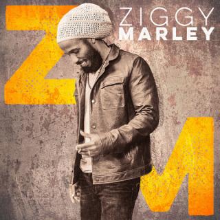 Ziggy Marley ‎– Ziggy Marley LP Record (180g)