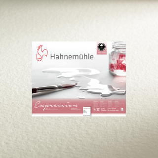 Hahnemuhle Papier Akwarelowy Expression 300 g 50 x 65 cm